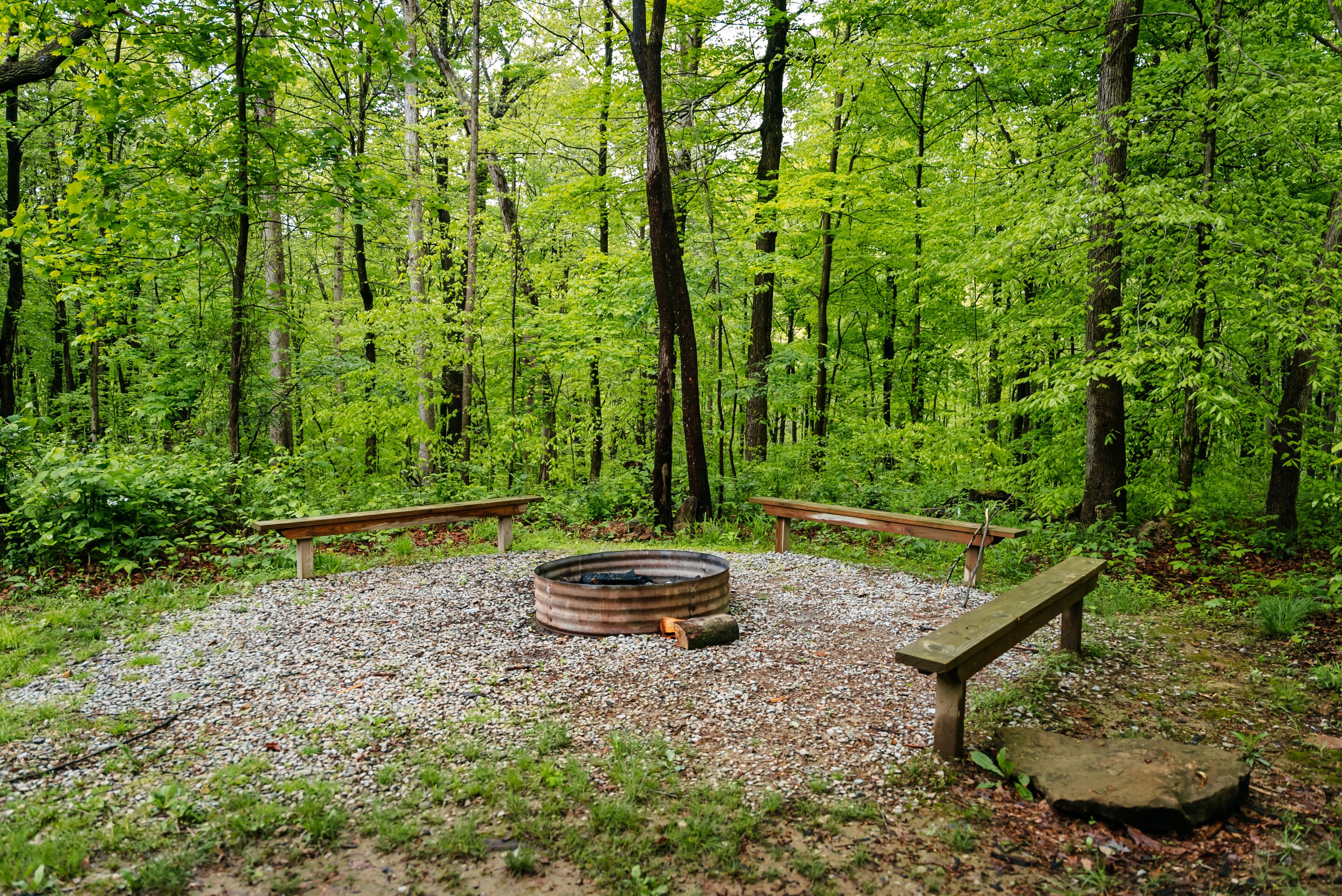 Un terrain de camping boisé, doté d’un foyer circulaire, de deux bancs et d’un sol rocheux.