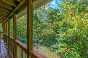Une terrasse en bois offrant une vue sur une forêt dense.
