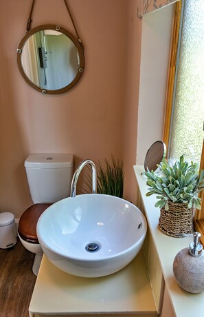 A bathroom with a round sink, a toilet, a mirror, and a potted plant. - Train Carriage in Shrawardine With Starry Nights (Shrewsbury)