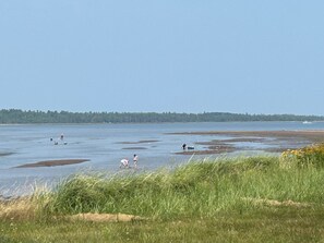 LiegestĂŒhle