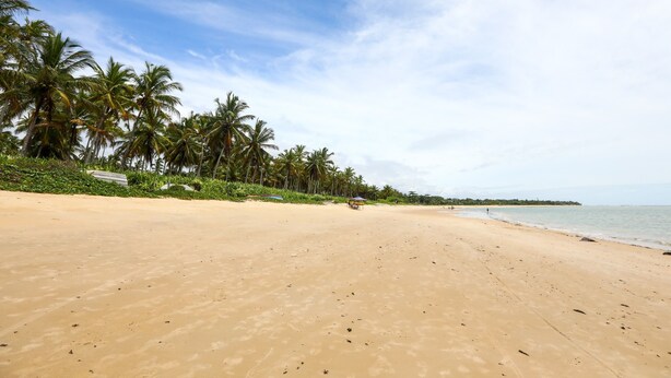 A wide sandy beach with palm trees and a clear sky. - Cozy mini house in Arraial d'Ajuda. (Arraial d'Ajuda)