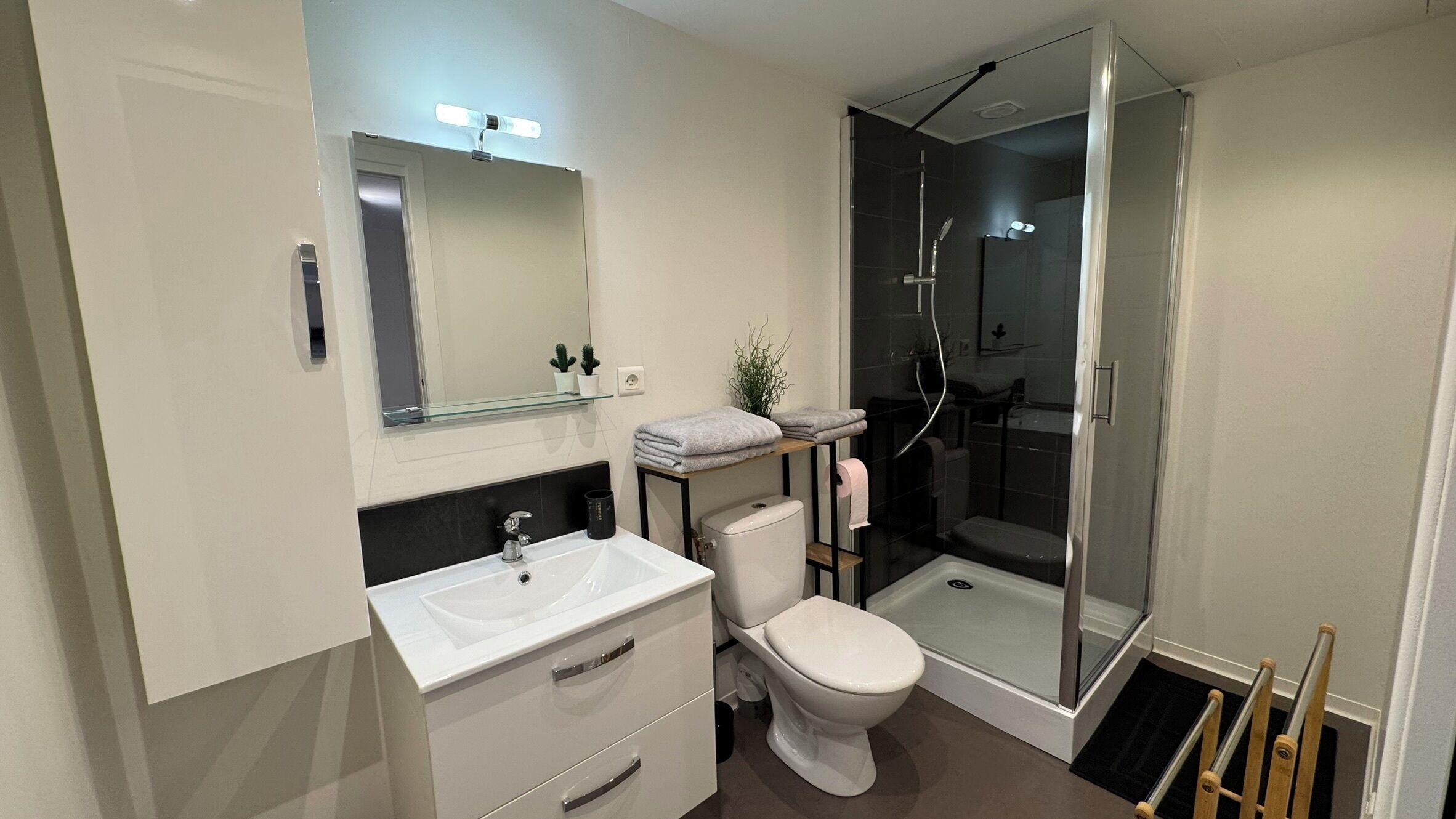Secadora de cabello y papel de baño 