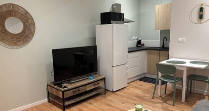 T2 rénové au centre de labruguiere