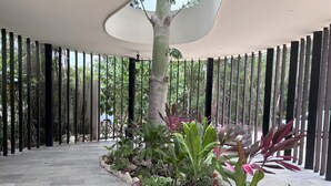 An indoor garden with a stone floor, surrounded by tall bamboo-like plants and a variety of other greenery. - Modern apartment in Tulum trendy zone, pool and wifi (tulum)