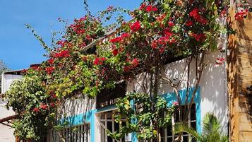 Fassade der Unterkunft