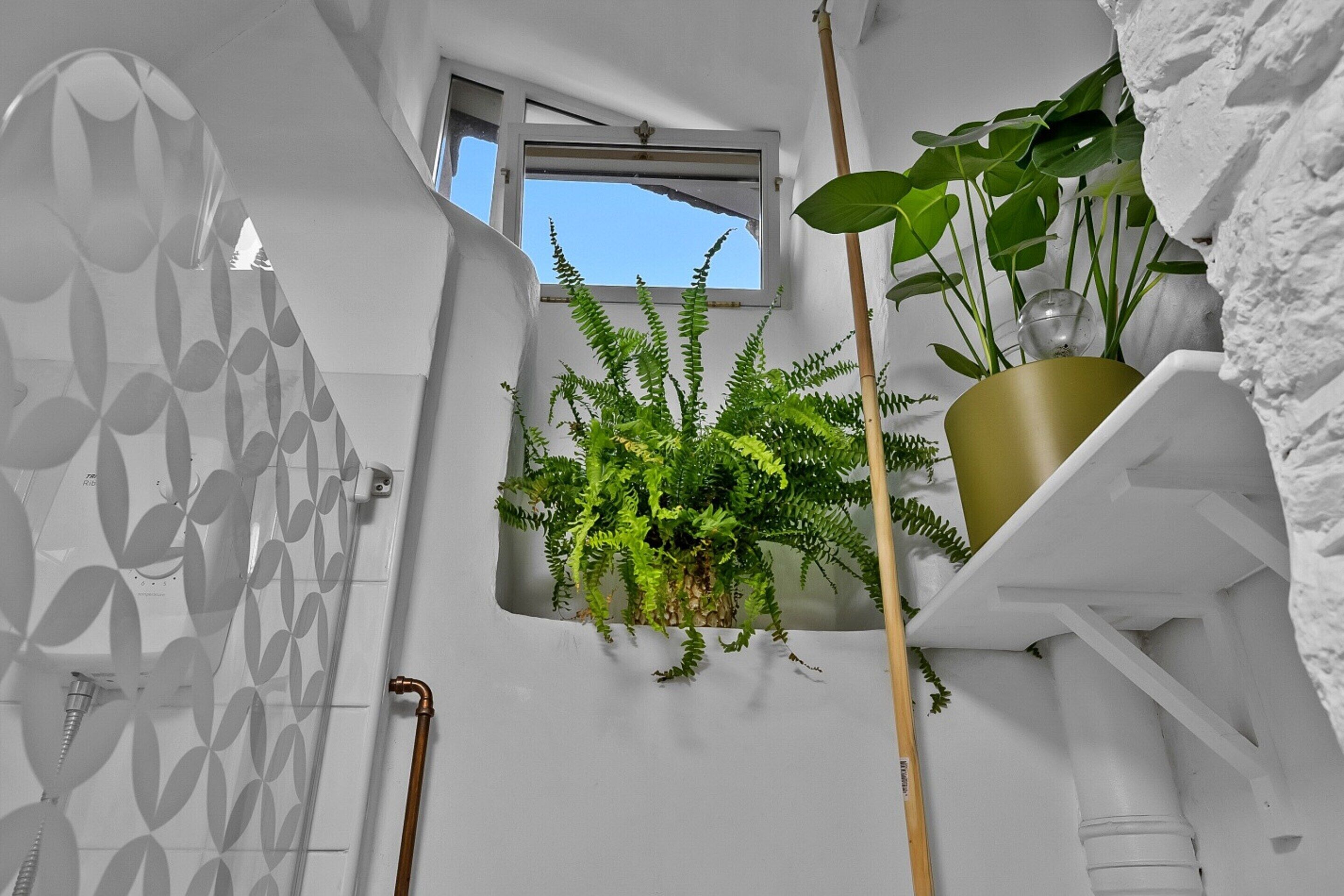 Cottage | Bathroom