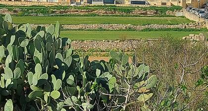 Ample and Modern Penthouse, 2nd floor, 3 bedroom with field view.