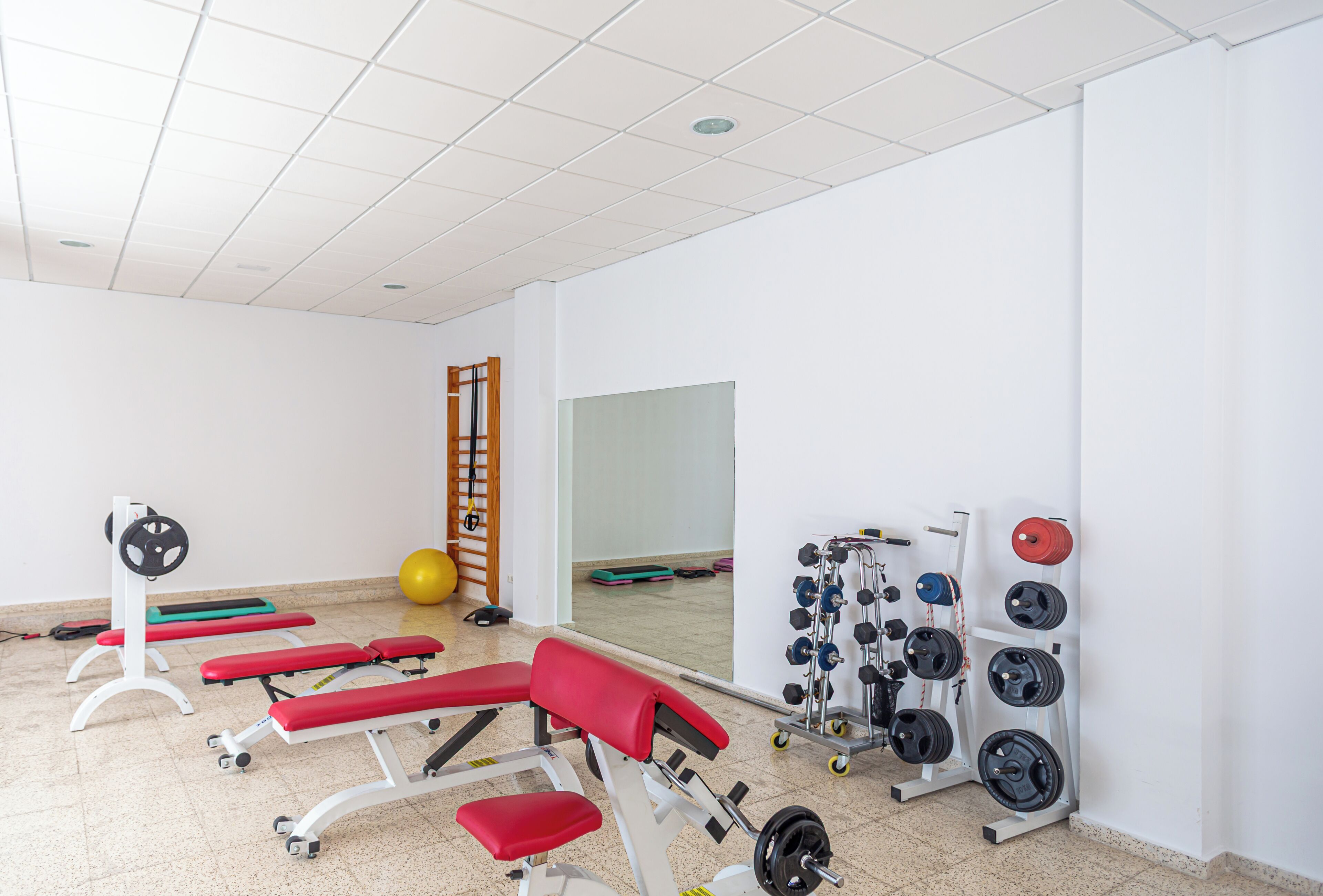 Un gimnasio con bancos de ejercicio, un soporte para pesas y una pelota de yoga.