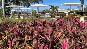 Ein Poolbereich eines Resorts mit Liegestühlen und Sonnenschirmen, umgeben von Palmen und tropischer Bepflanzung.