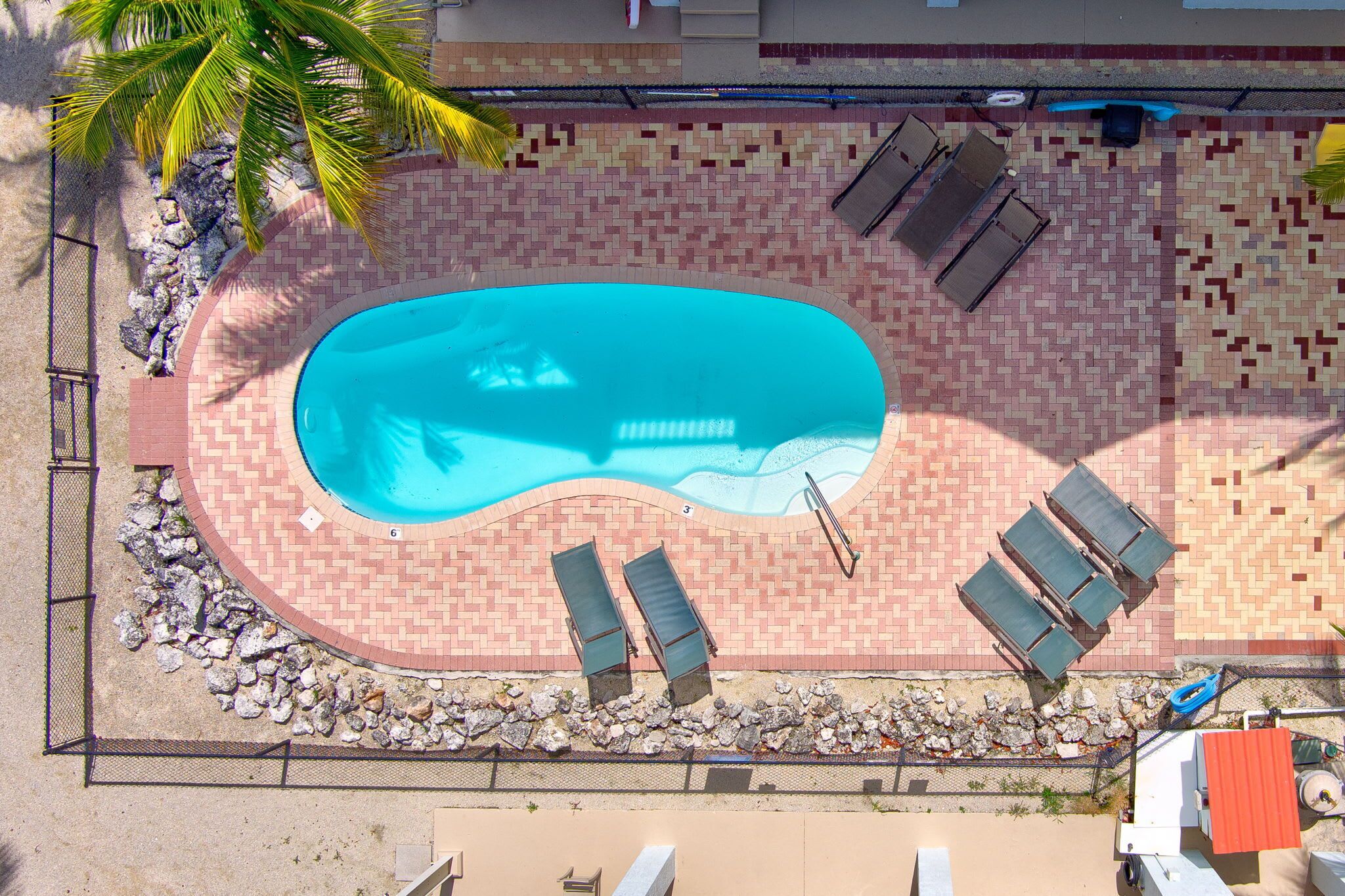 An aerial view of a swimming pool with a tiled deck, lounge chairs, and a palm tree.