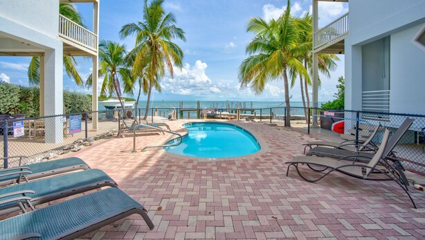 A pool area with lounge chairs, palm trees, and a view of the ocean. - Oceanview Rooftop Retreat  3BR 3BA in Marathon FL (Marathon)
