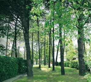 Appartement, 2 chambres, balcon | Jardin