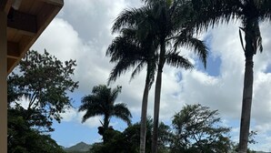 A swimming pool with a tiled deck, surrounded by palm trees and a mountainous backdrop.