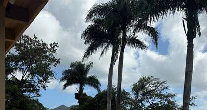 VILLAS LAS INDIGENAS
Spacious 6-bedroom Villa with Private Pool and WiFi
