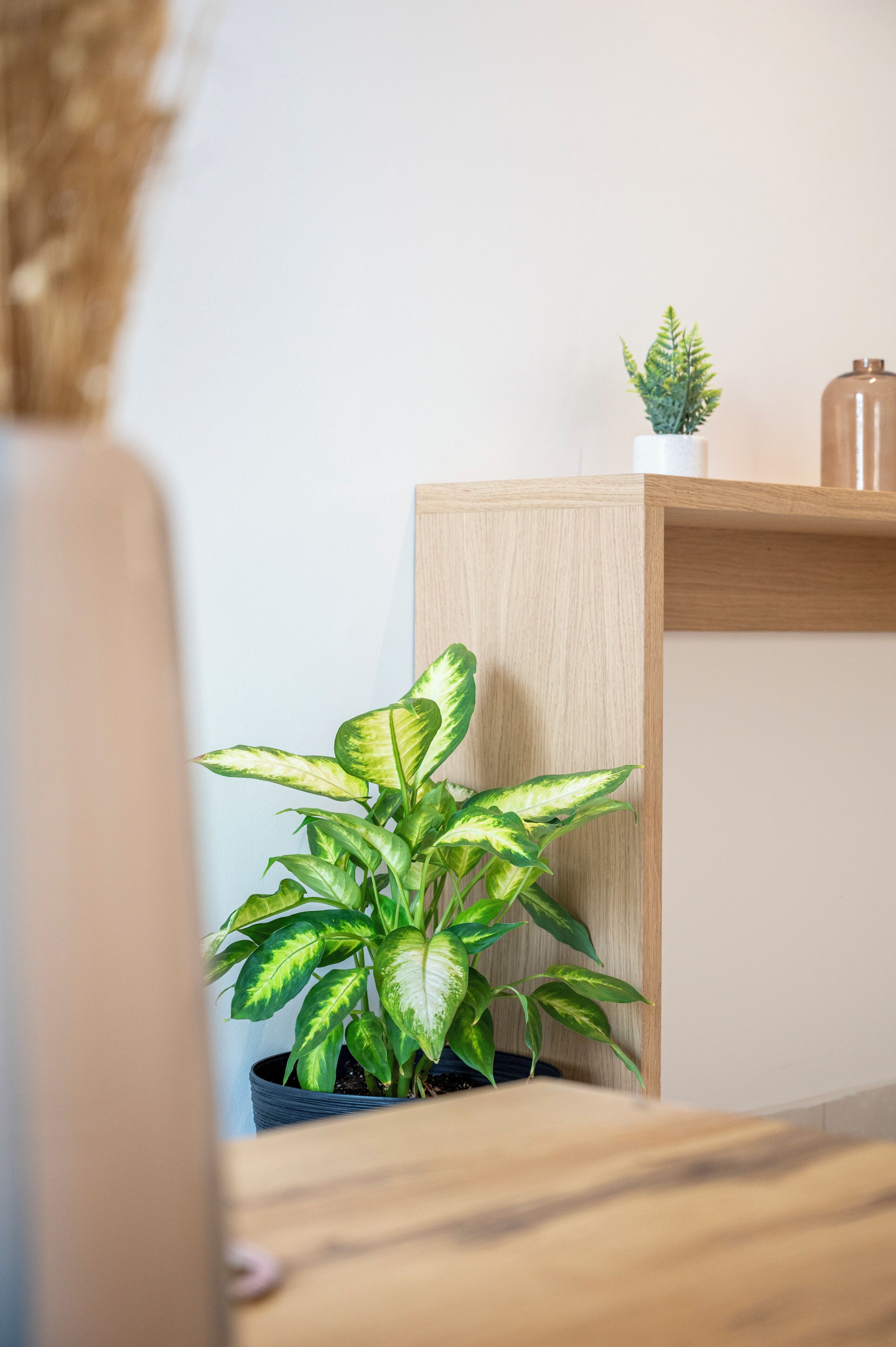 A potted plant on a wooden shelf against a white wall.