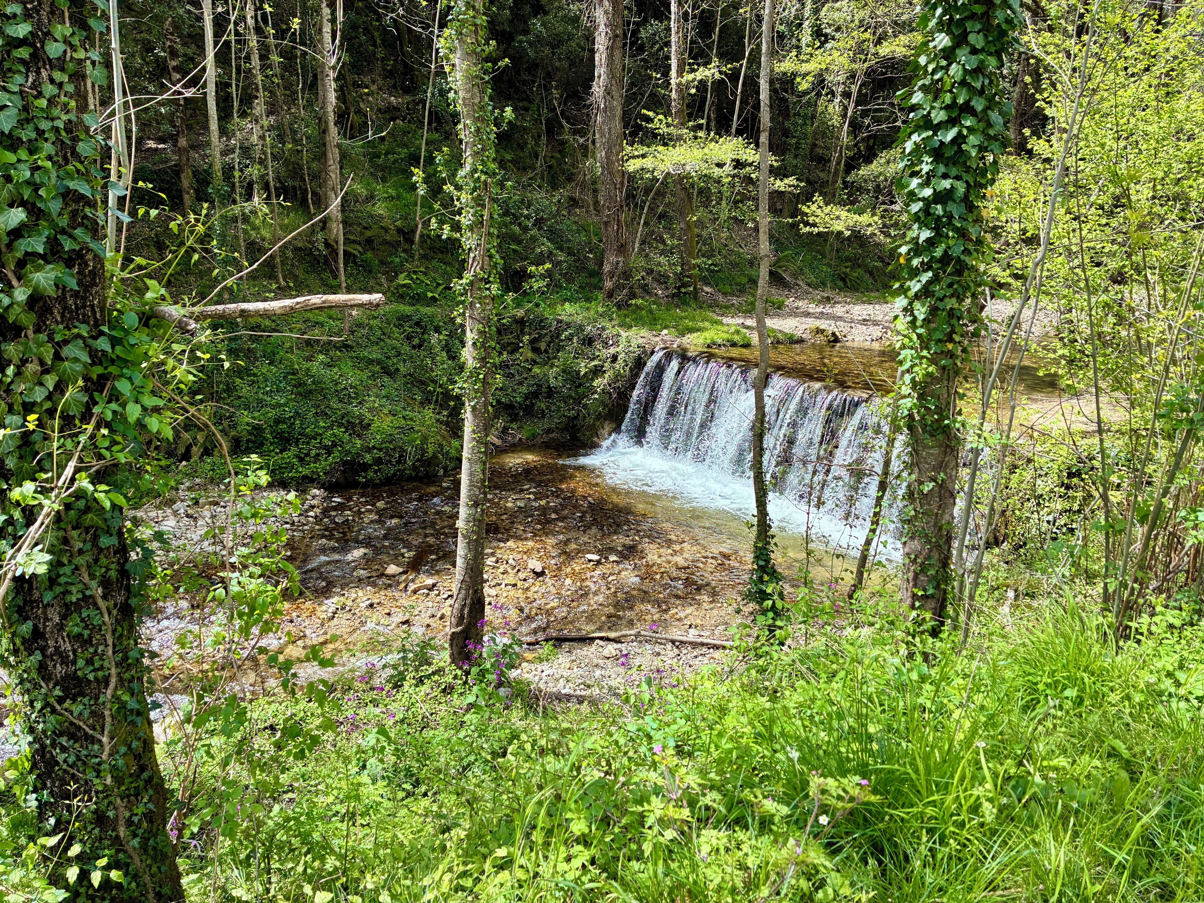 A natural waterfall in a forested area with dense greenery and trees.