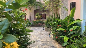 Un patio empedrado con abundante vegetación y diversas plantas.