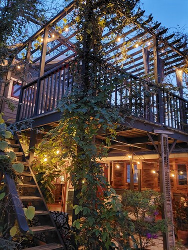  The Birdcage Saloon is true hidden gem, in a secret garden. Romance awaits here