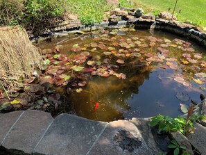 Exterior detail - Spacious 5-bedroom house in marvelous Boise with AC, WiFi (Boise)