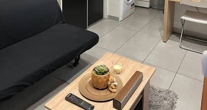 Ideally located apartment, Nîmes center, renovated