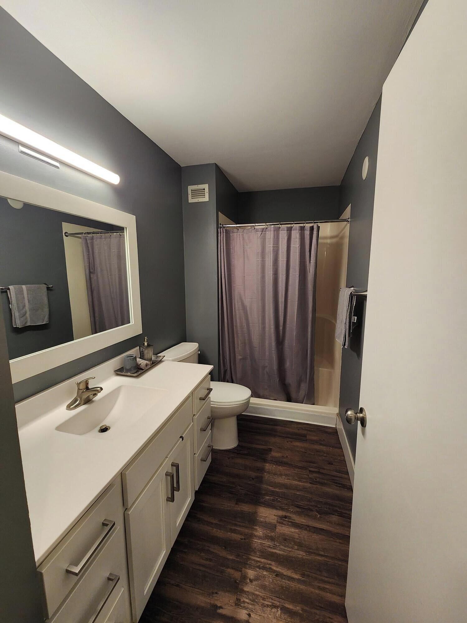 A bathroom with a white sink, a toilet, a shower with a purple curtain, and a mirror above the sink.