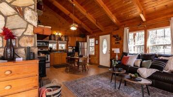 Smart TV, chimenea y libros