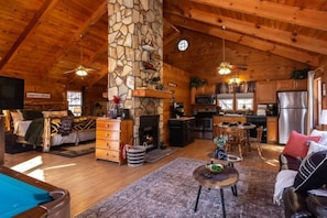 Smart TV, fireplace, books