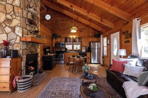 Smart TV, fireplace, books