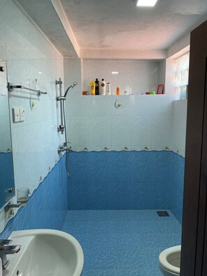 Eco-friendly toiletries, hair dryer, bidet, towels