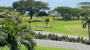 A well-maintained golf course with manicured grass, palm trees, and cacti. - Casa Inge: 3BR Golf-Front Villa at Gran Pacifica Resort. Pet Friendly! (Gran Pacifica Resort)