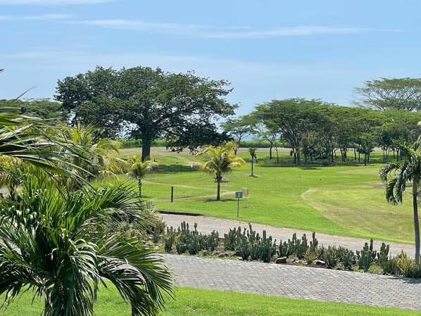 A well-maintained golf course with manicured grass, palm trees, and cacti.
