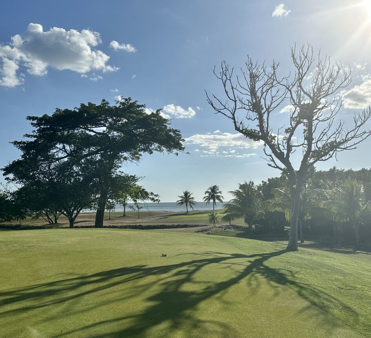 Golf