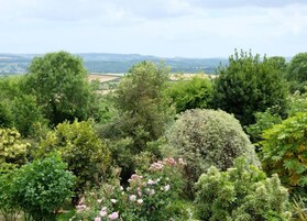 Cottage | View from property