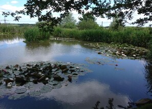 Cottage | View from property - Cottage in Northumberland With Riverside Walk (Peterborough)