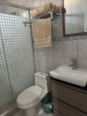 Ducha, bañera de hidromasaje, secador de pelo, toallas
