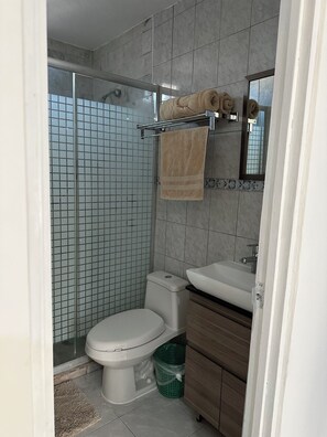 Shower, jetted bath, hair dryer, towels