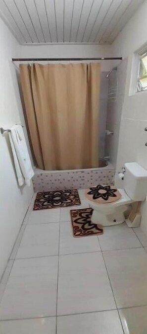 A small bathroom with a toilet, a shower, and a curtain.