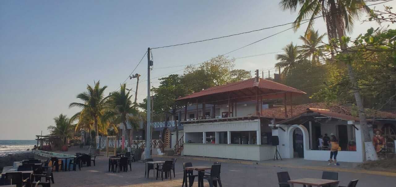 Un restaurant situé en bord de mer, avec une terrasse, des palmiers et une vue sur l’océan.