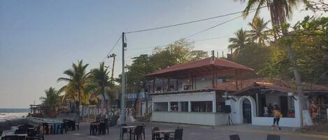 A beachfront restaurant with outdoor seating, palm trees, and a view of the ocean.