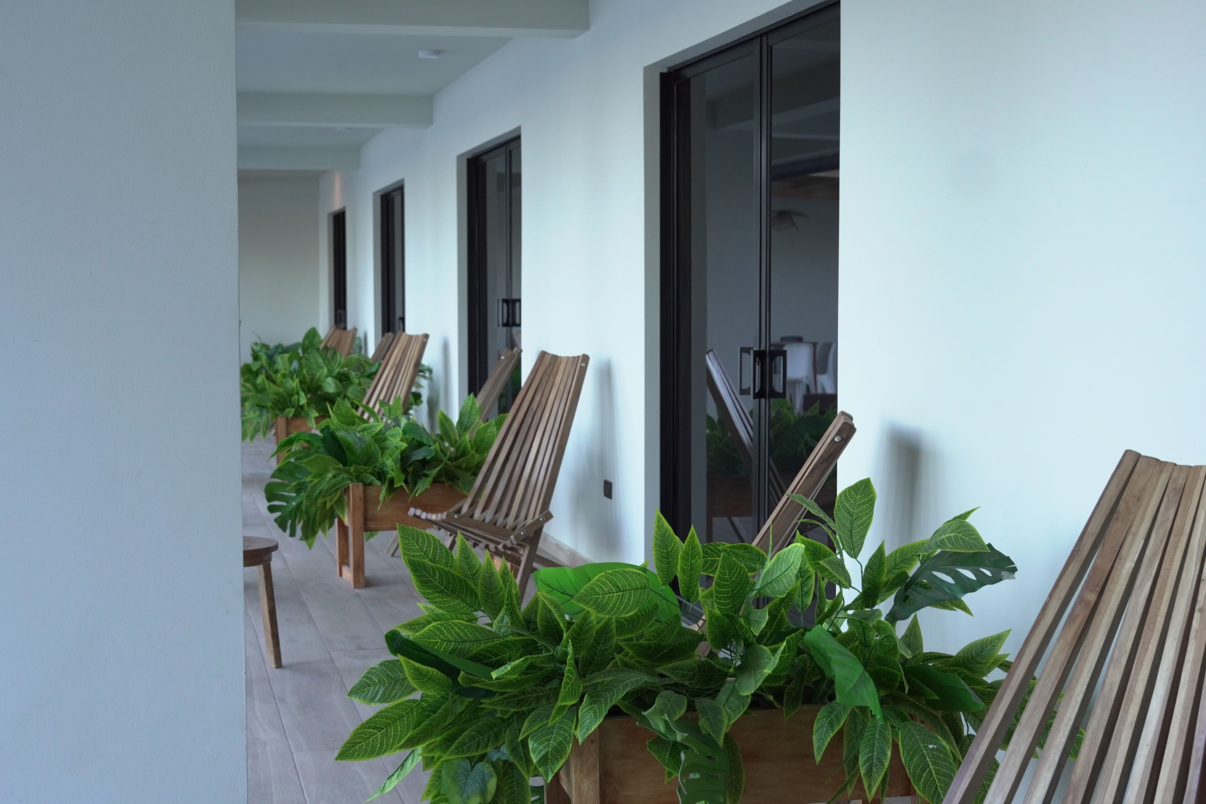 A row of wooden chairs and potted plants on a balcony with a white wall and glass doors.