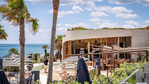 A beachfront resort with outdoor seating, palm trees, and a pool area.