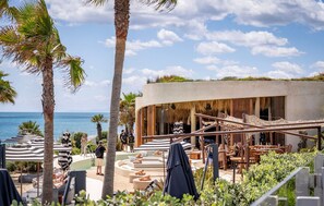 Un complexe hôtelier en bord de mer, doté d’un espace extérieur aménagé avec des tables et des chaises, de palmiers et une piscine.