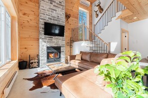 TV, fireplace, video games, DVD player