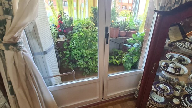 Una habitación con puerta corrediza de vidrio que da a un balcón con plantas en macetas y vistas a edificios.