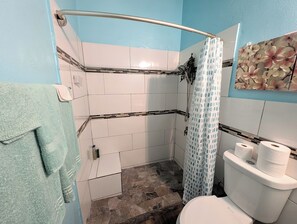 Shower, towels, soap, toilet paper