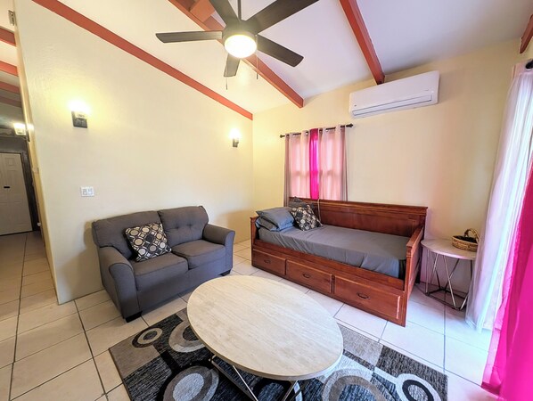 Älytelevisio, kirjoja