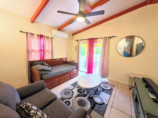 Smart TV, books - Big Bird!! (Christiansted)