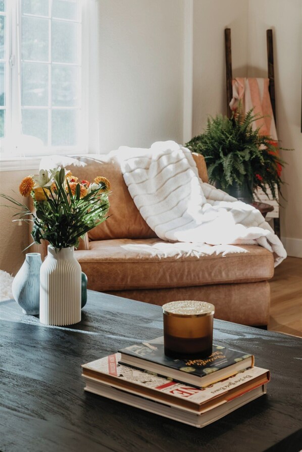 Smart TV, chimenea y libros 