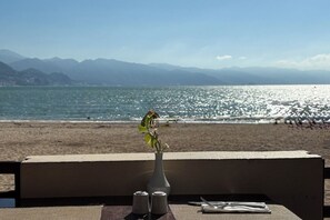 在海灘附近