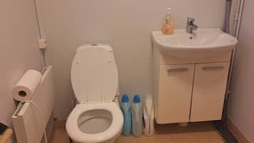 Secador de cabelo, toalhas de banho, sabonete, papel higiênico